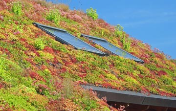 Sco Ruston living roof systems