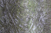 Sco Ruston fibreglass roof work